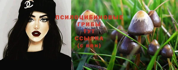 бутират Аркадак